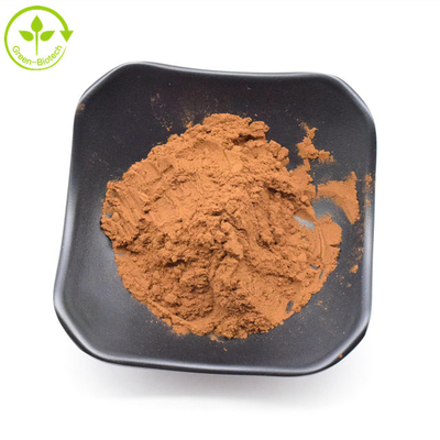 Pasokan Ekstrak Chrysanthemum Brown Berkualitas Tinggi 5% Serbuk Flavon