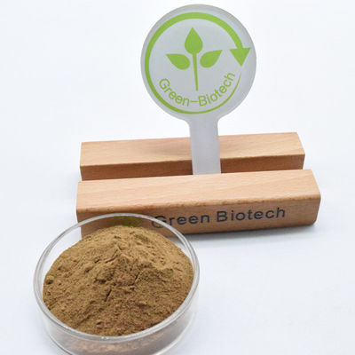 Harga Terbaik Kualitas Tinggi Sampel Gratis Dendrobium Stem Extract Powder Dijual