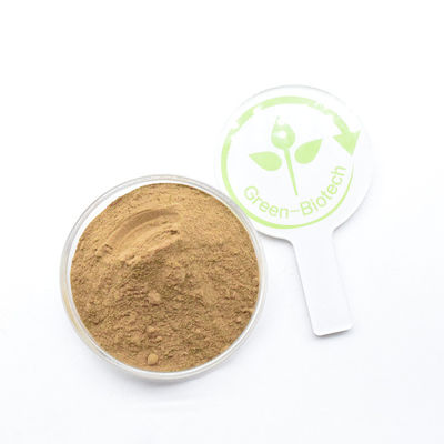 Produsen Direct Supply Yellow Brown Dendrobium Extract Powder