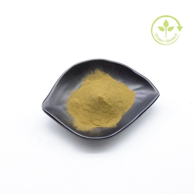 Harga Murah Ekstrak Akar Ashwagandha Organik Bubuk halus Untuk Krim Ashwagandha