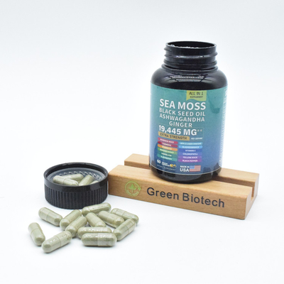Pabrik Supply Natural Hot Jual Kualitas Tinggi Sea Moss Ekstrak Kapsul Untuk Energi