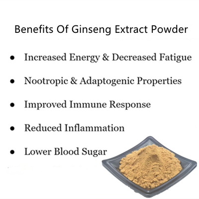 80 Mesh Ginseng Root Extract Powder 1% -80% Ekstrak Tumbuhan Alami