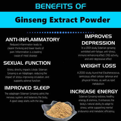 80 Mesh Ginseng Root Extract Powder 1% -80% Ekstrak Tumbuhan Alami