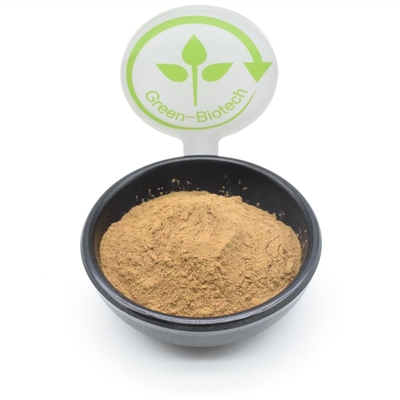 Body Building Ajuga Turkestanica Extract Powder Ekstrak Tanaman Bubuk 500mg 750mg 1000mg
