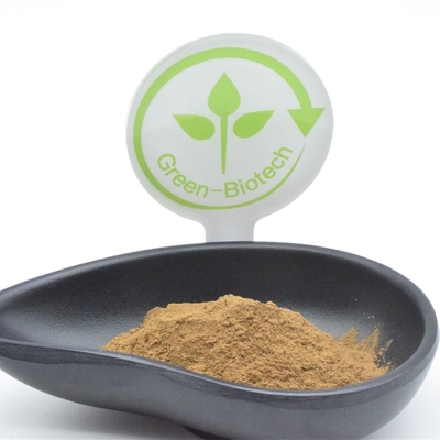 Ekstrak Tanaman HACCP Bubuk Ajuga Turkestanica 2% Turkesterone Fat Loss