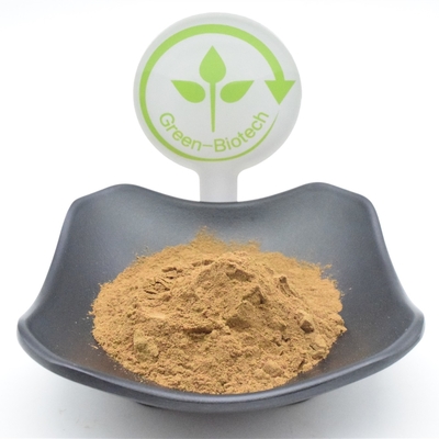 Bubuk Ajuga Turkestanica Fungsional 750mg 1000mg Ekstrak Tanaman Bubuk