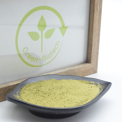Ekstrak Tumbuhan Alami MSDS Uji Bubuk Teh Matcha Dengan Rasa Umami Yang Kaya