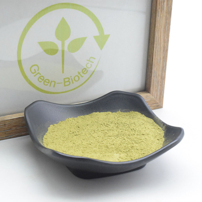 Ekstrak Tumbuhan Alami Matcha Seremonial Anti Anafilaksis Anti Inflamasi