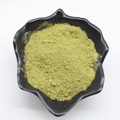 Ekstrak Tumbuhan Alami Matcha Seremonial Anti Anafilaksis Anti Inflamasi
